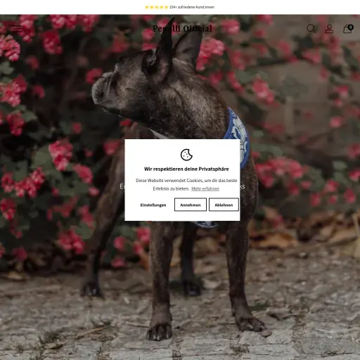 César Pereira Pereira