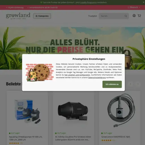 ROME INTERNATIONAL GmbH & Co. KG